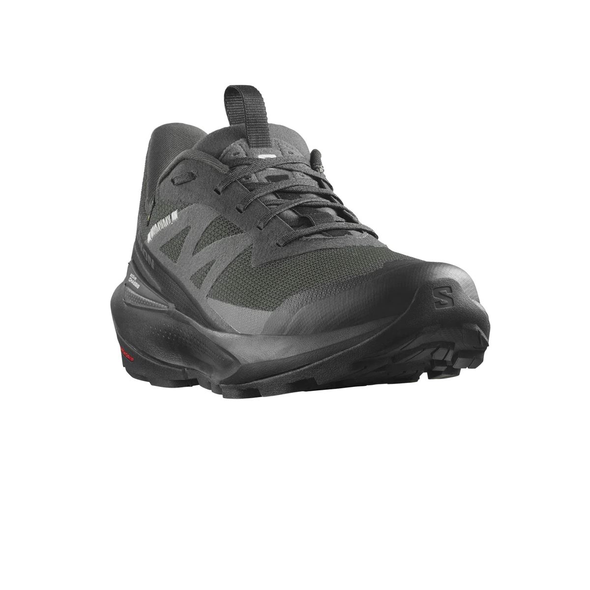 کتونی طبیعت گردی سالامون ELIXIR ACTIV GTX-L47456100